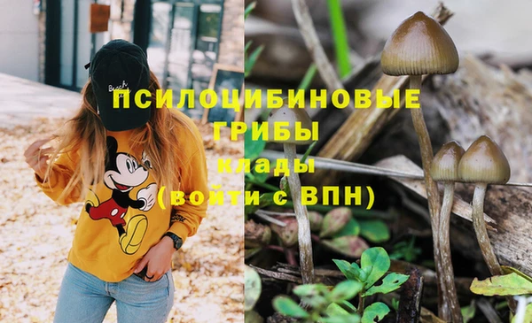 СК Волосово