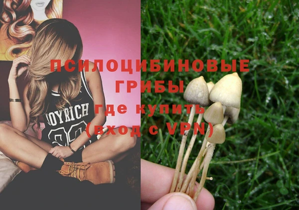 дживик Бугульма